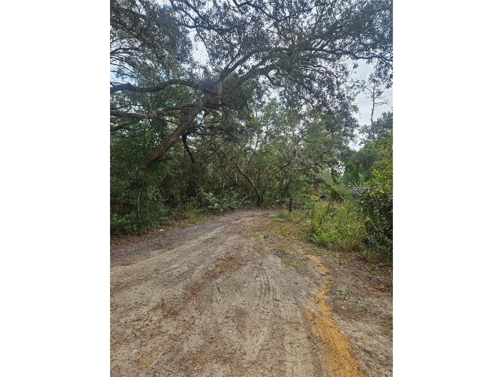  Deltona FL 32738 V4939261 image28