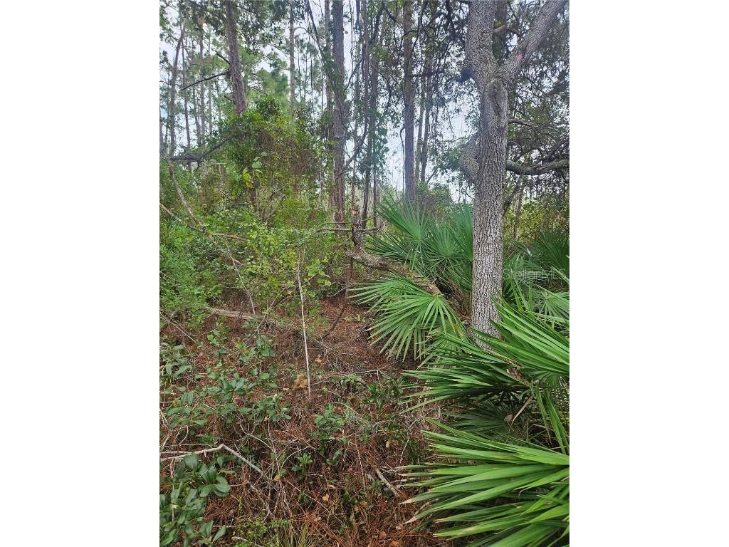  Deltona FL 32738 V4939261 image29