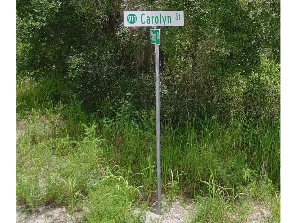  Deltona FL 32738 V4939261 image3