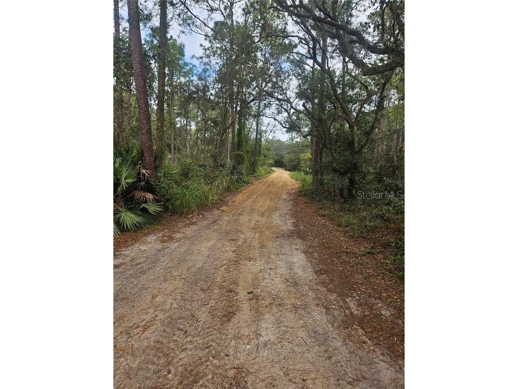  Deltona FL 32738 V4939261 image30