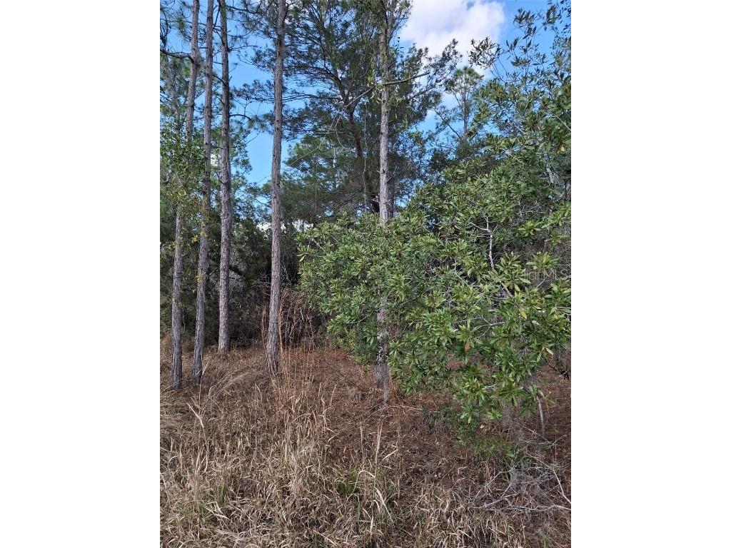  Deltona FL 32738 V4939261 image32