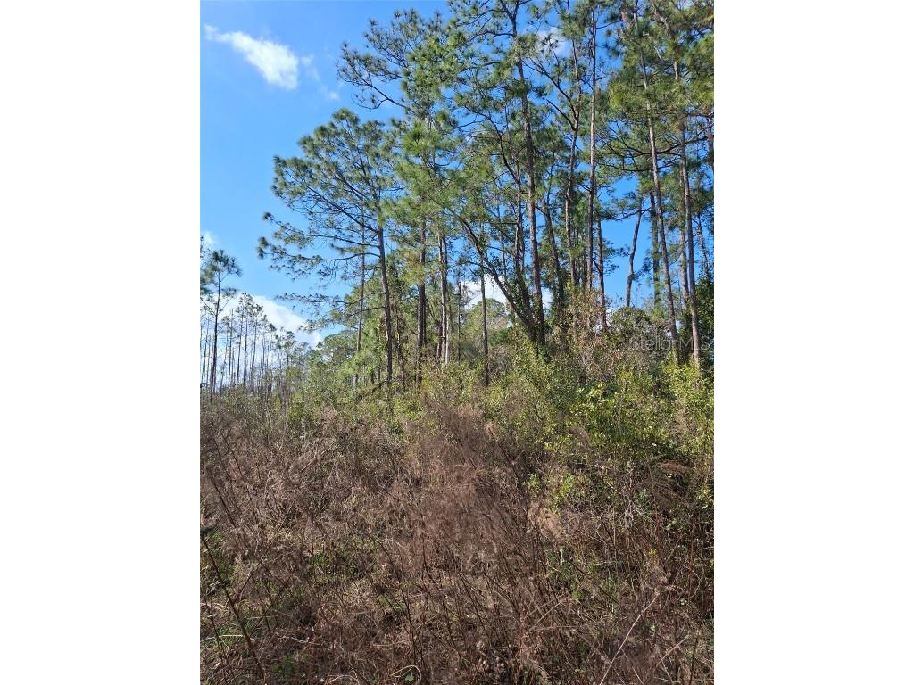  Deltona FL 32738 V4939261 image33