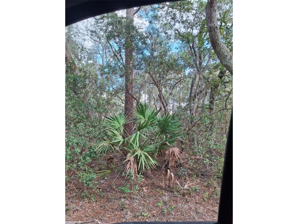  Deltona FL 32738 V4939261 image34