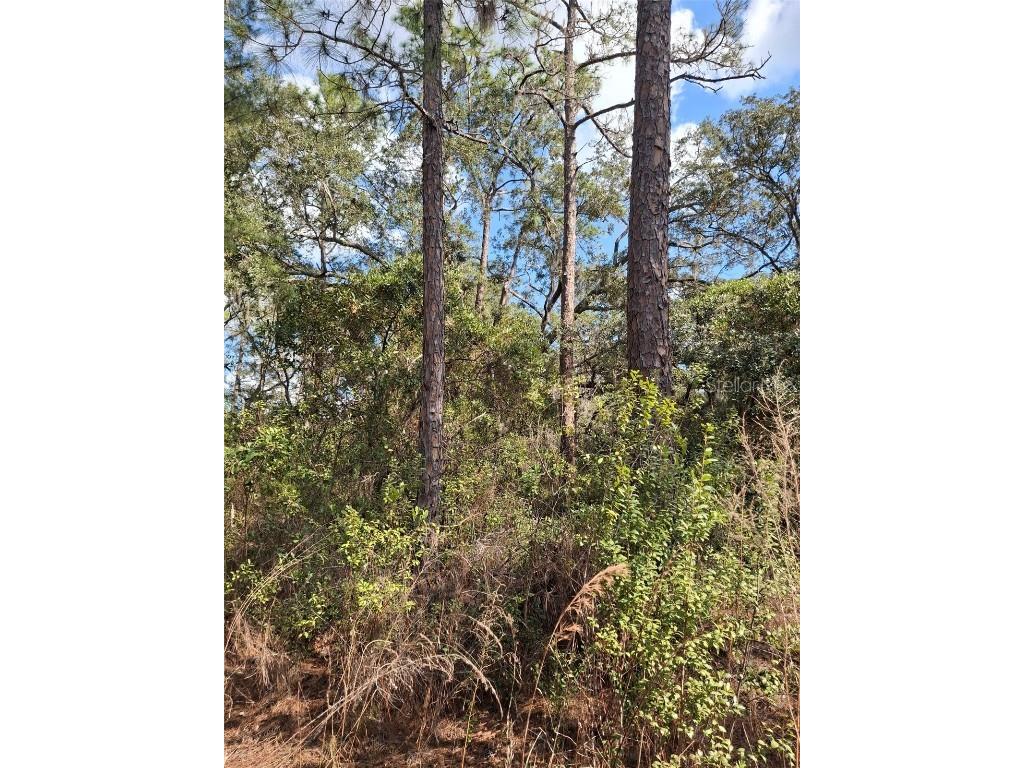  Deltona FL 32738 V4939261 image35