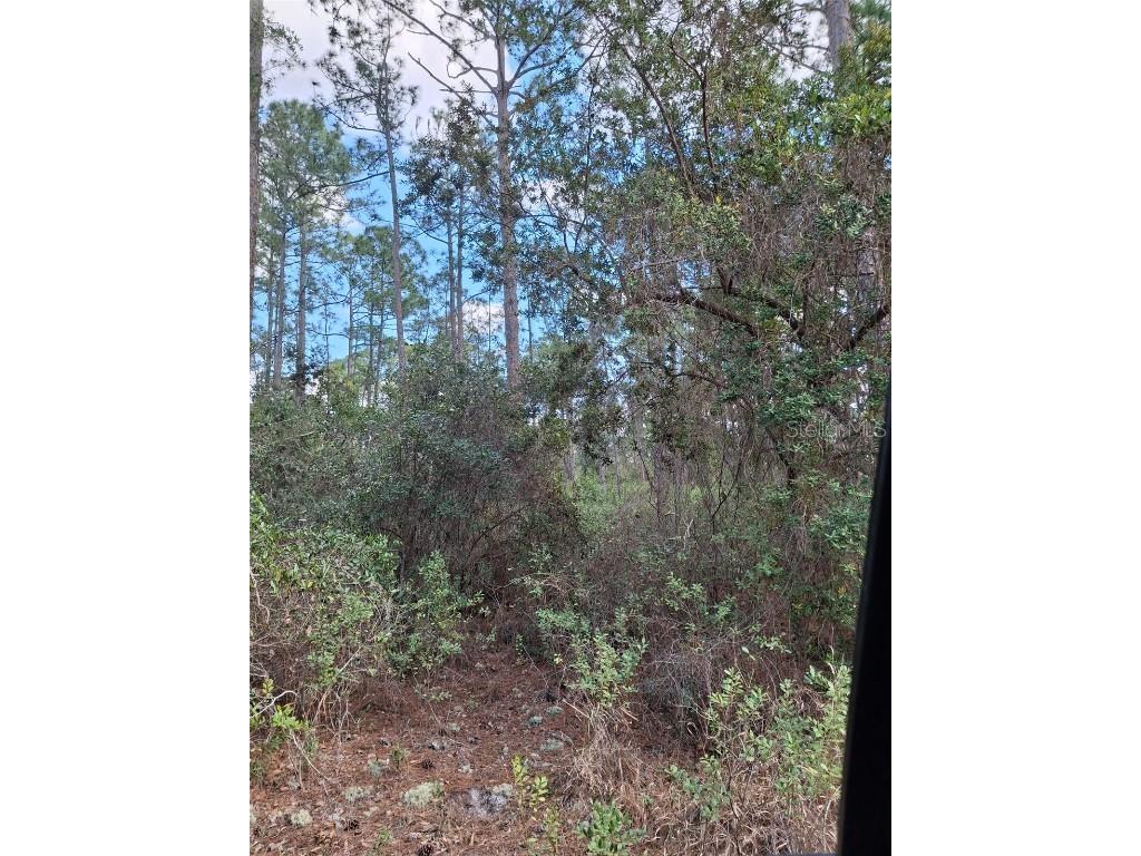  Deltona FL 32738 V4939261 image36