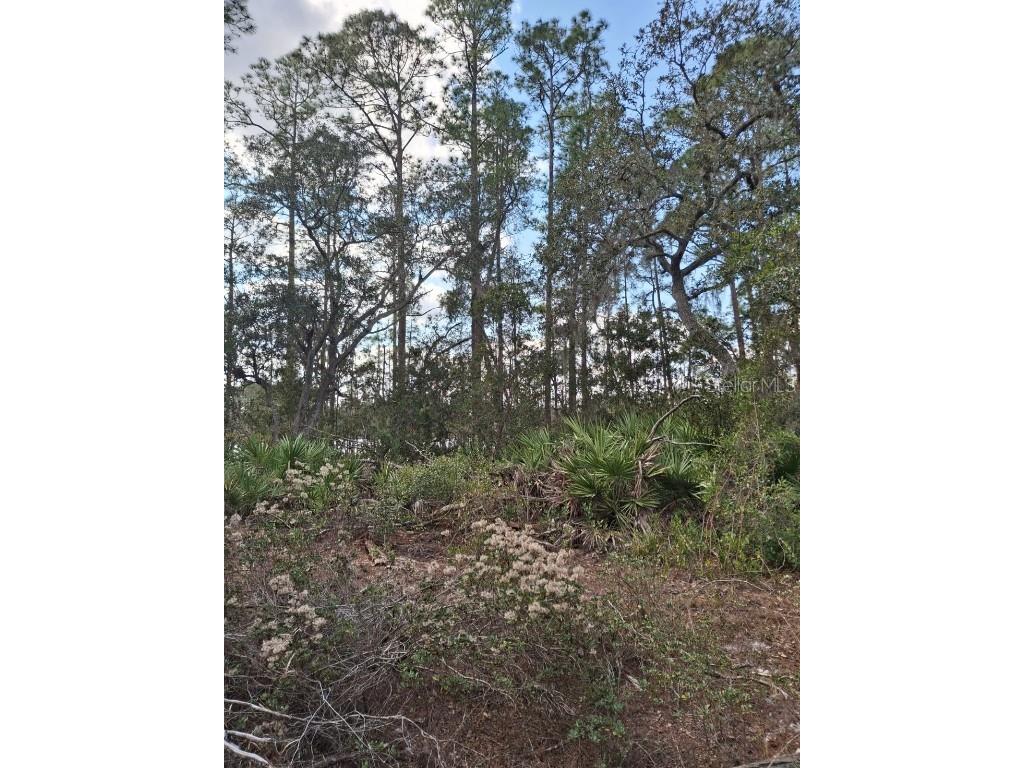  Deltona FL 32738 V4939261 image37