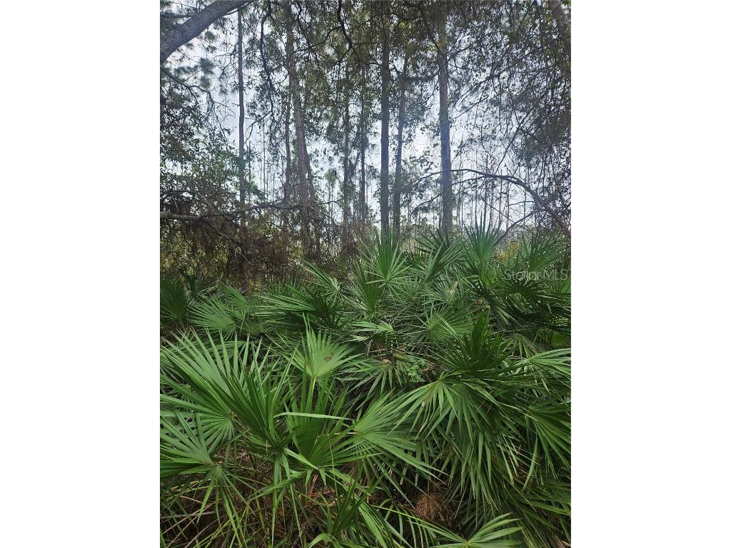  Deltona FL 32738 V4939261 image38