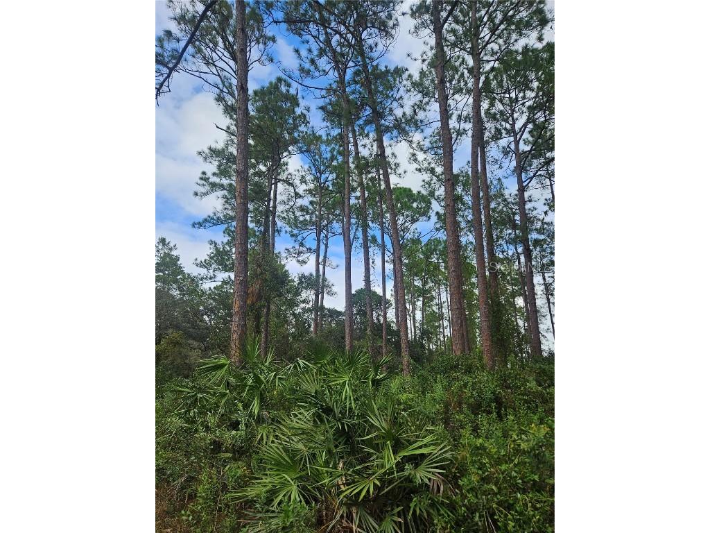  Deltona FL 32738 V4939261 image39