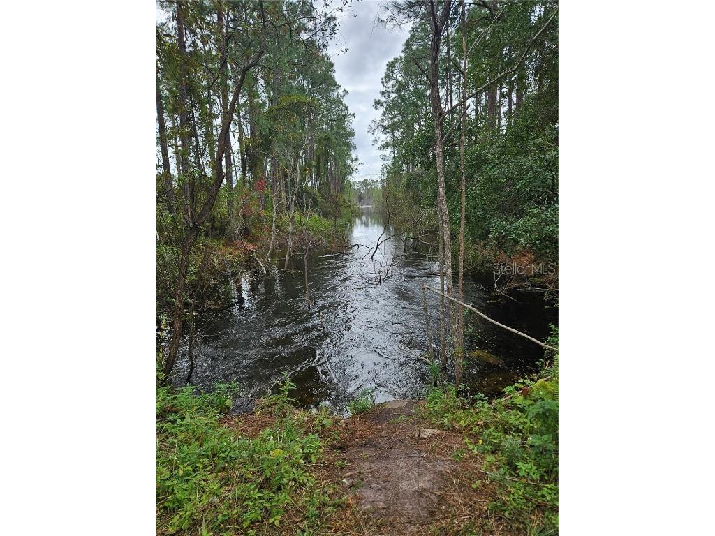  Deltona FL 32738 V4939261 image4