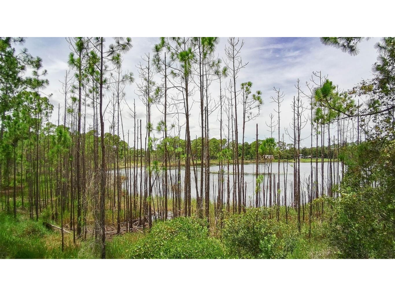  Deltona FL 32738 V4939261 image5