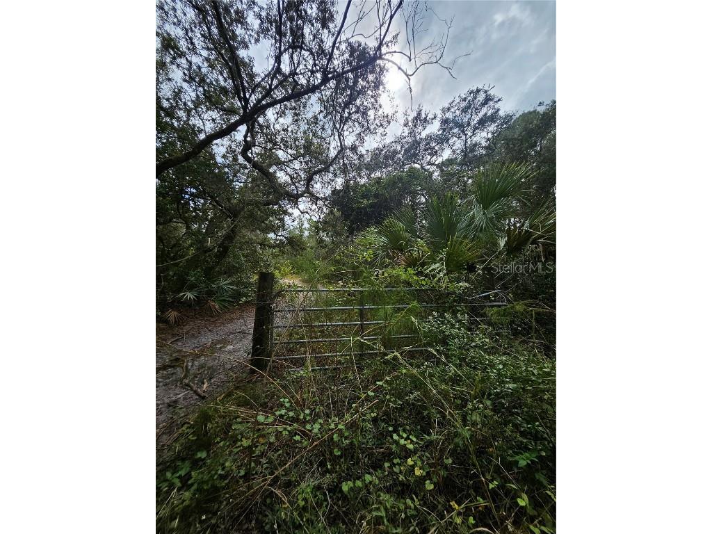  Deltona FL 32738 V4939261 image6