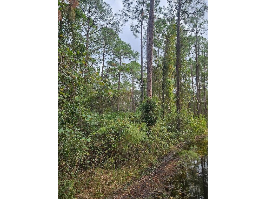  Deltona FL 32738 V4939261 image7