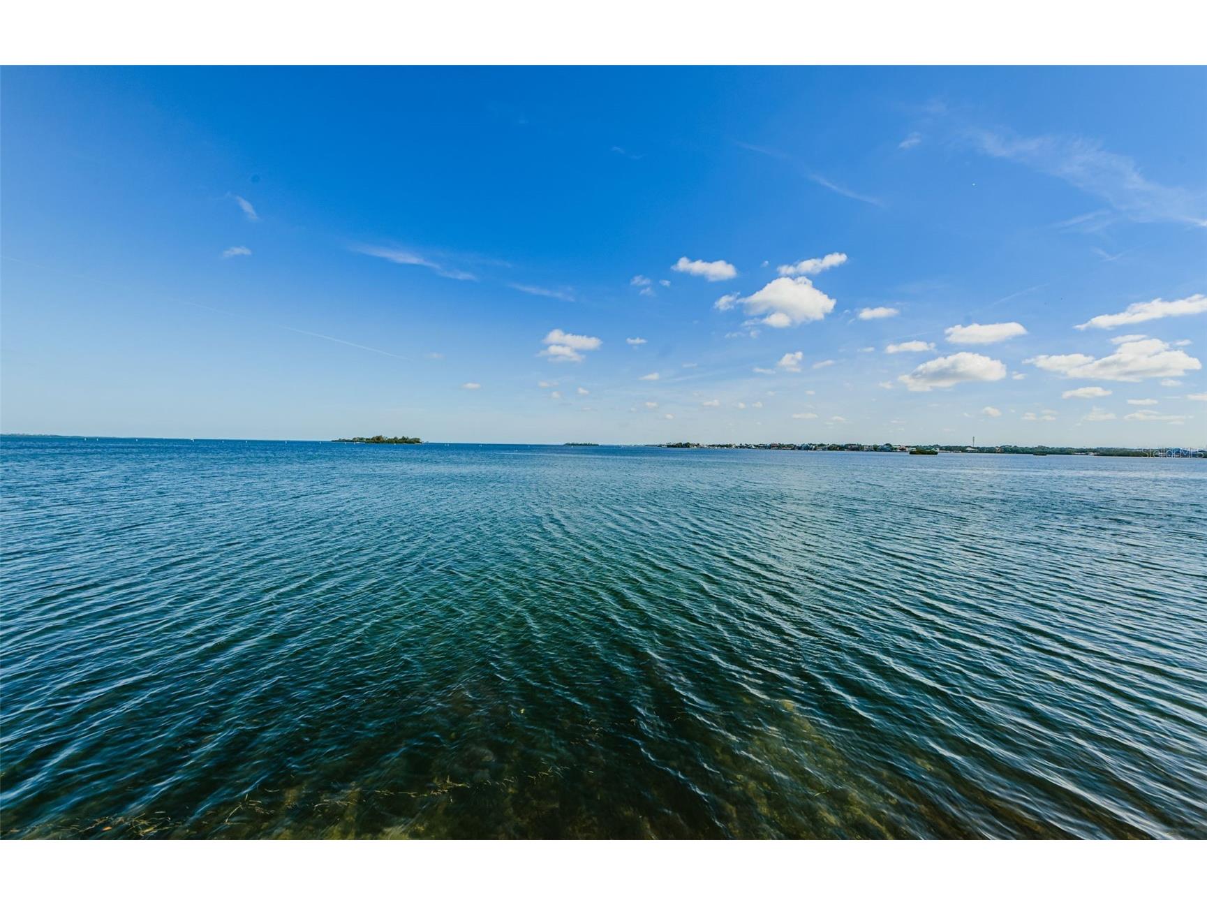 Dunedin FL 34698 - ST JOSEPH SOUND TB8496764 image15
