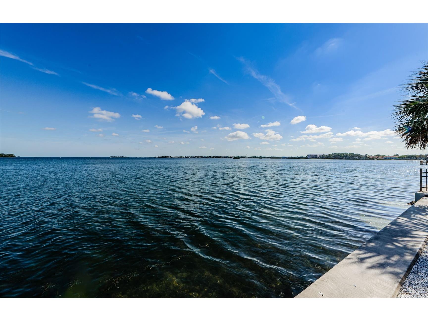  Dunedin FL 34698 - ST JOSEPH SOUND TB8496764 image16