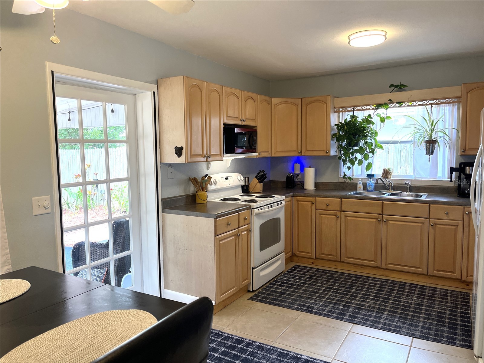  Dunedin FL 34698 TB8502205 image6