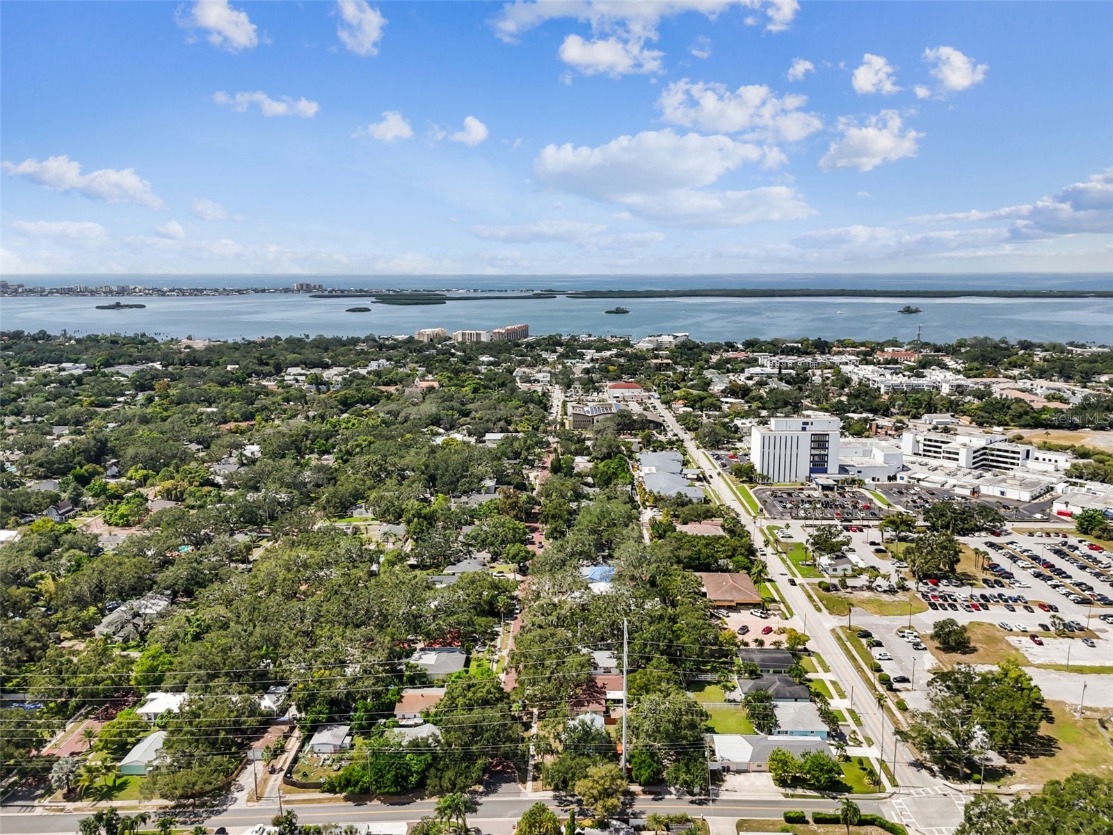  Dunedin FL 34698 TB8504343 image39