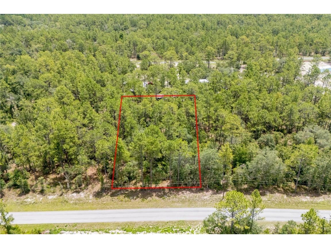  Dunnellon FL 34431 GC532199 image2