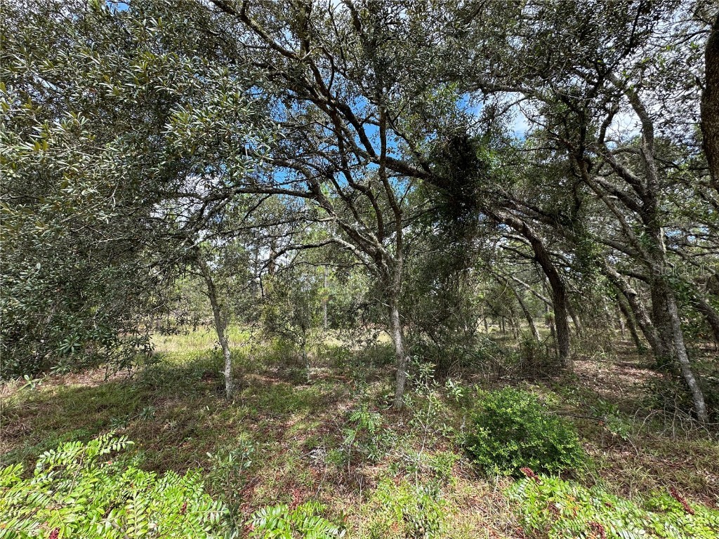  Dunnellon FL 34431 OM709870 image2