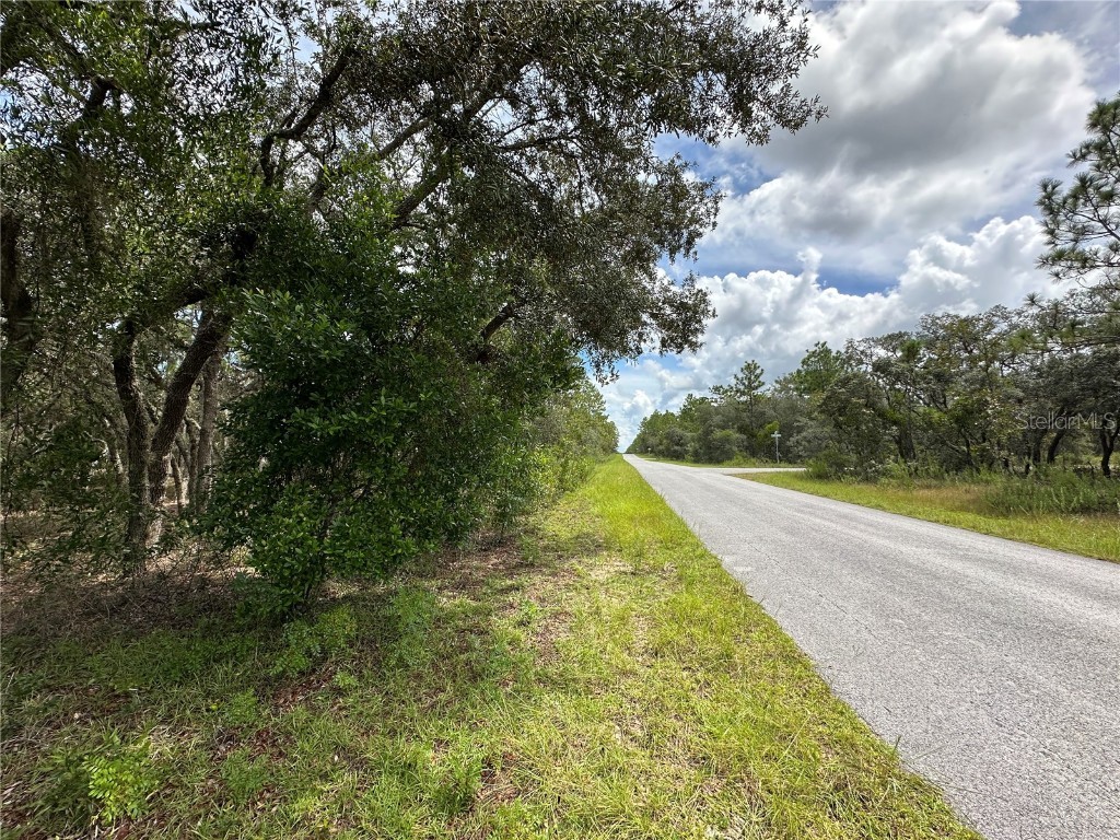  Dunnellon FL 34431 OM709870 image4