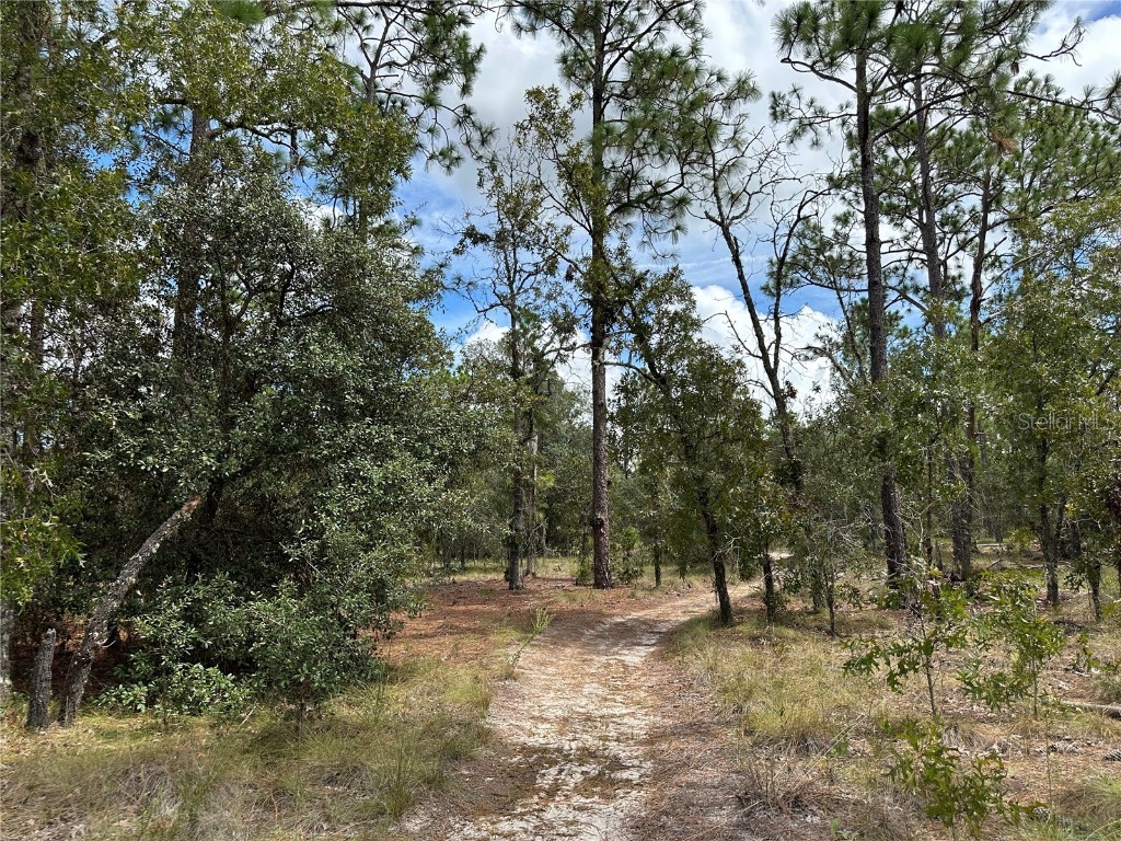  Dunnellon FL 34431 OM709870 image5