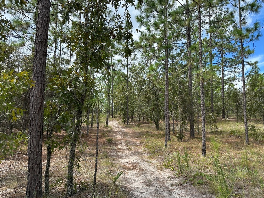  Dunnellon FL 34431 OM709870 image6