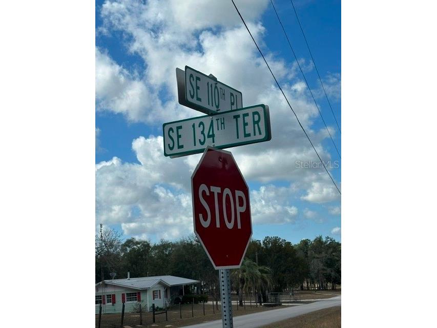  Dunnellon FL 34431 OM719239 image2