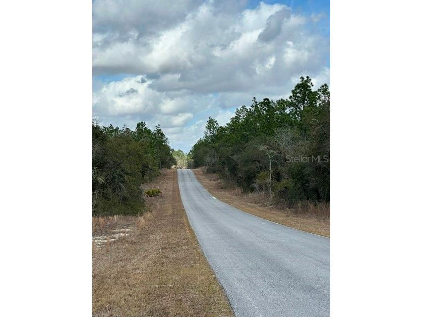  Dunnellon FL 34431 OM719239 image3