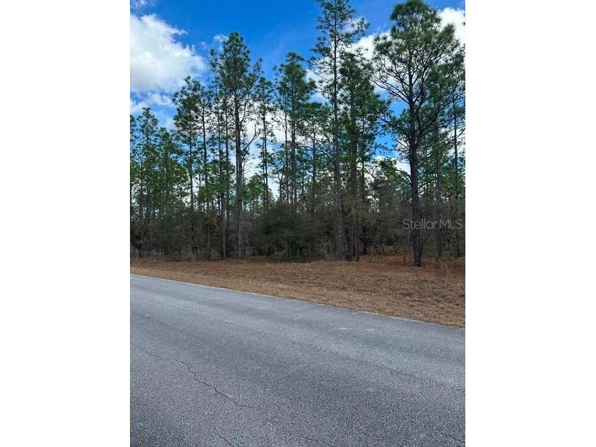  Dunnellon FL 34431 OM719239 image4