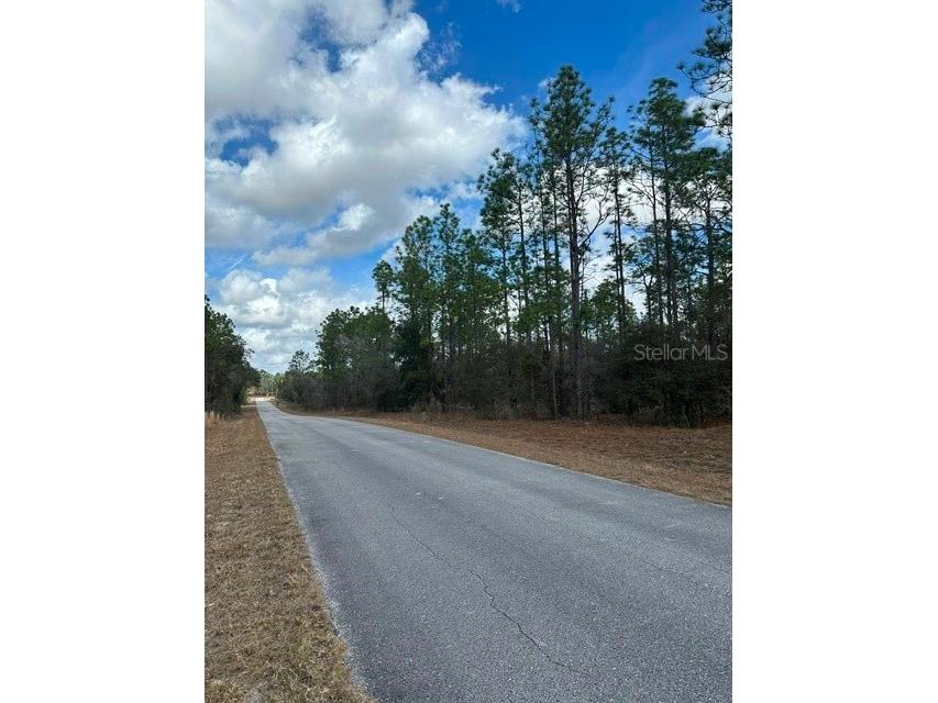  Dunnellon FL 34431 OM719239 image5