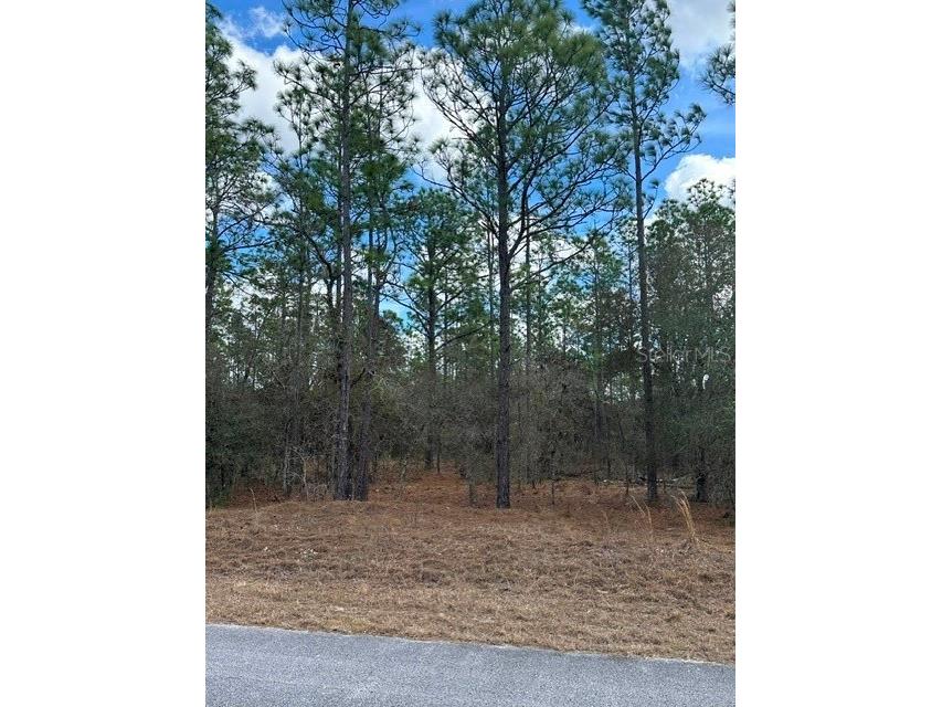  Dunnellon FL 34431 OM719239 image6