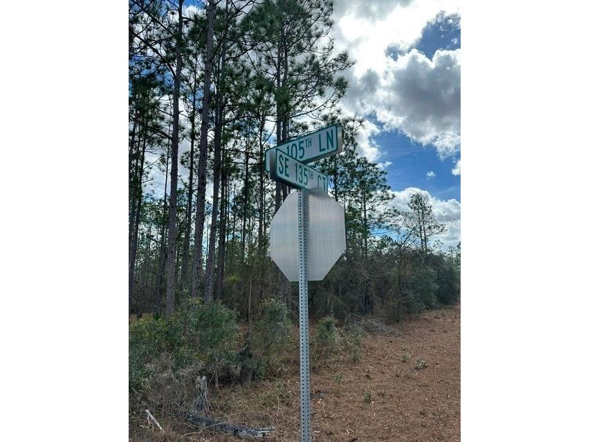  Dunnellon FL 34431 OM719240 image4
