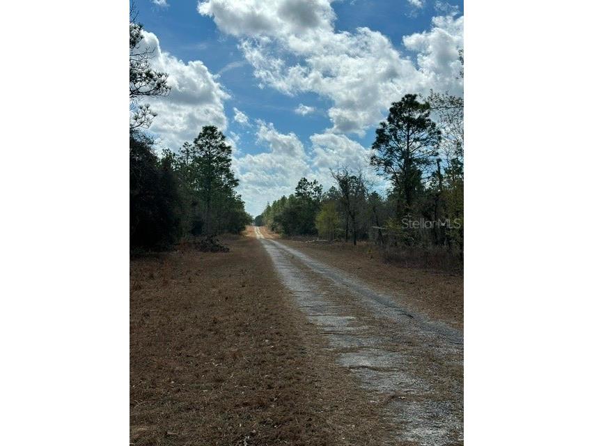  Dunnellon FL 34431 OM719240 image5