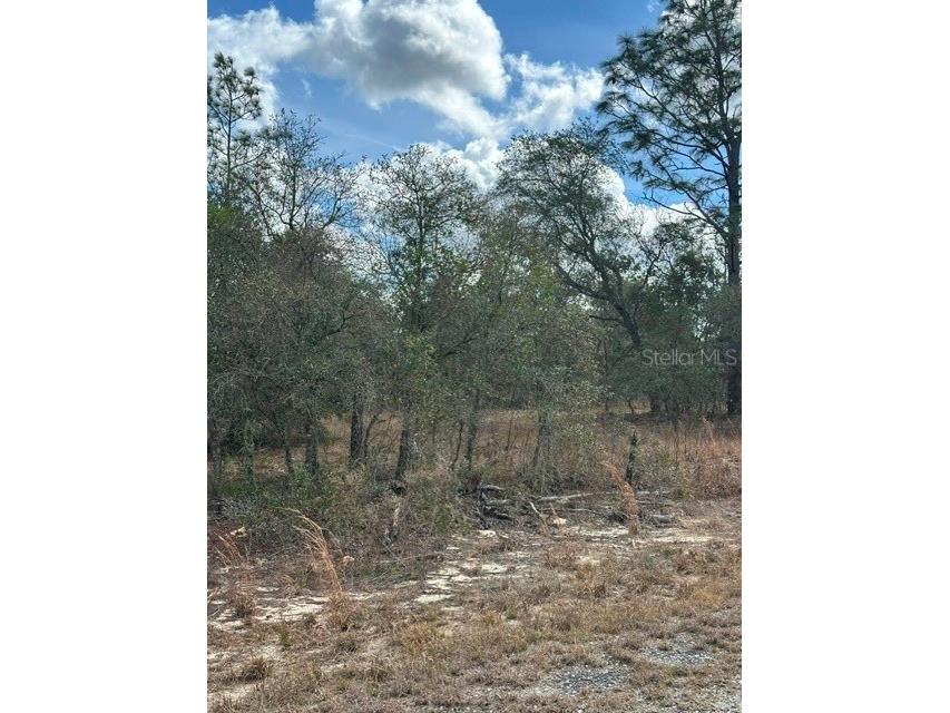  Dunnellon FL 34431 OM719240 image7