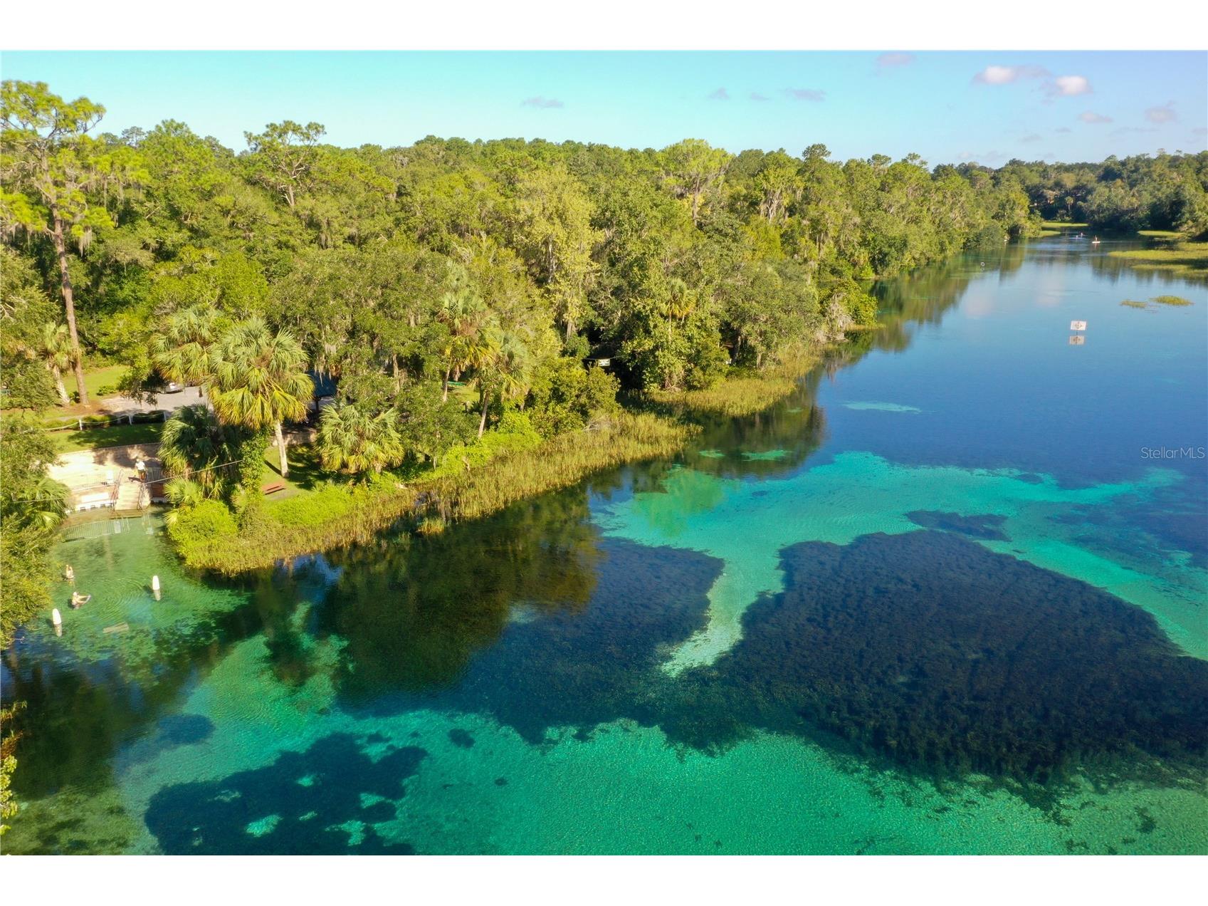  Dunnellon FL 34431 OM722584 image10