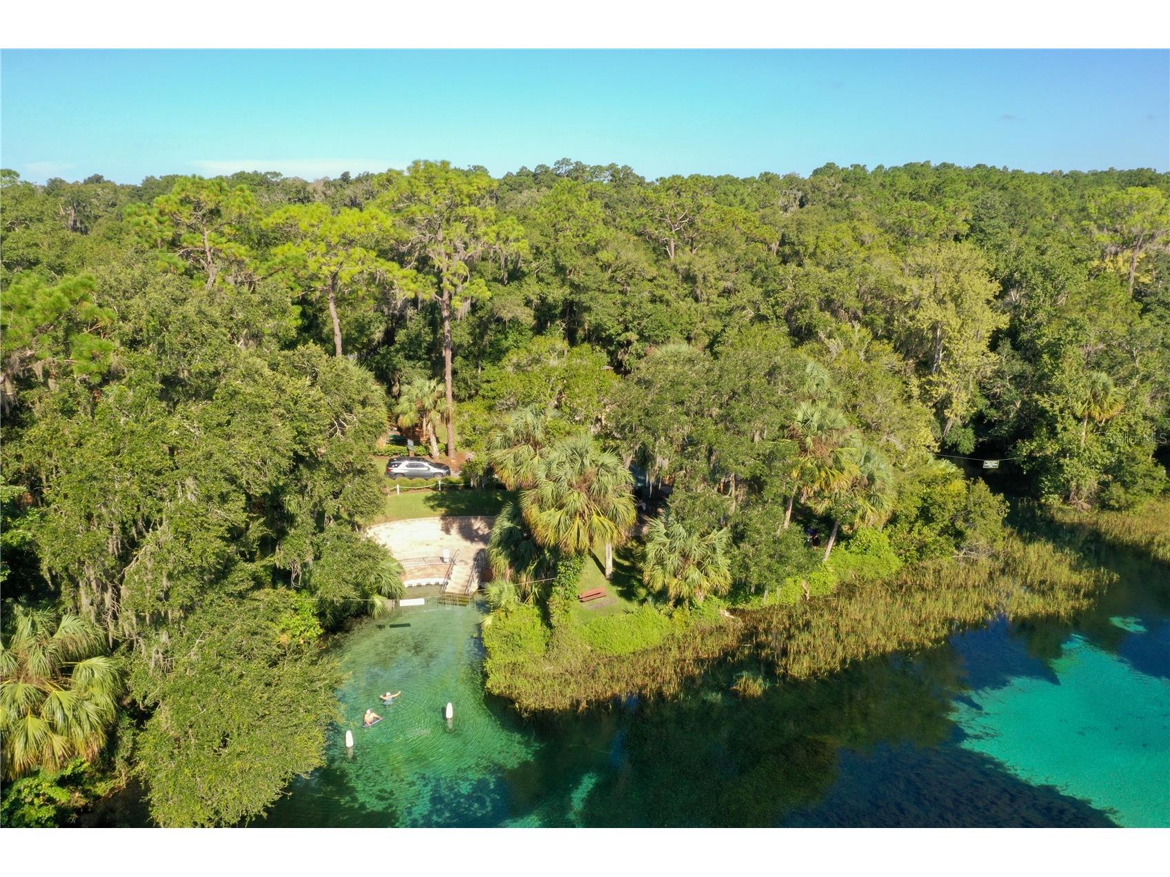  Dunnellon FL 34431 OM722584 image11
