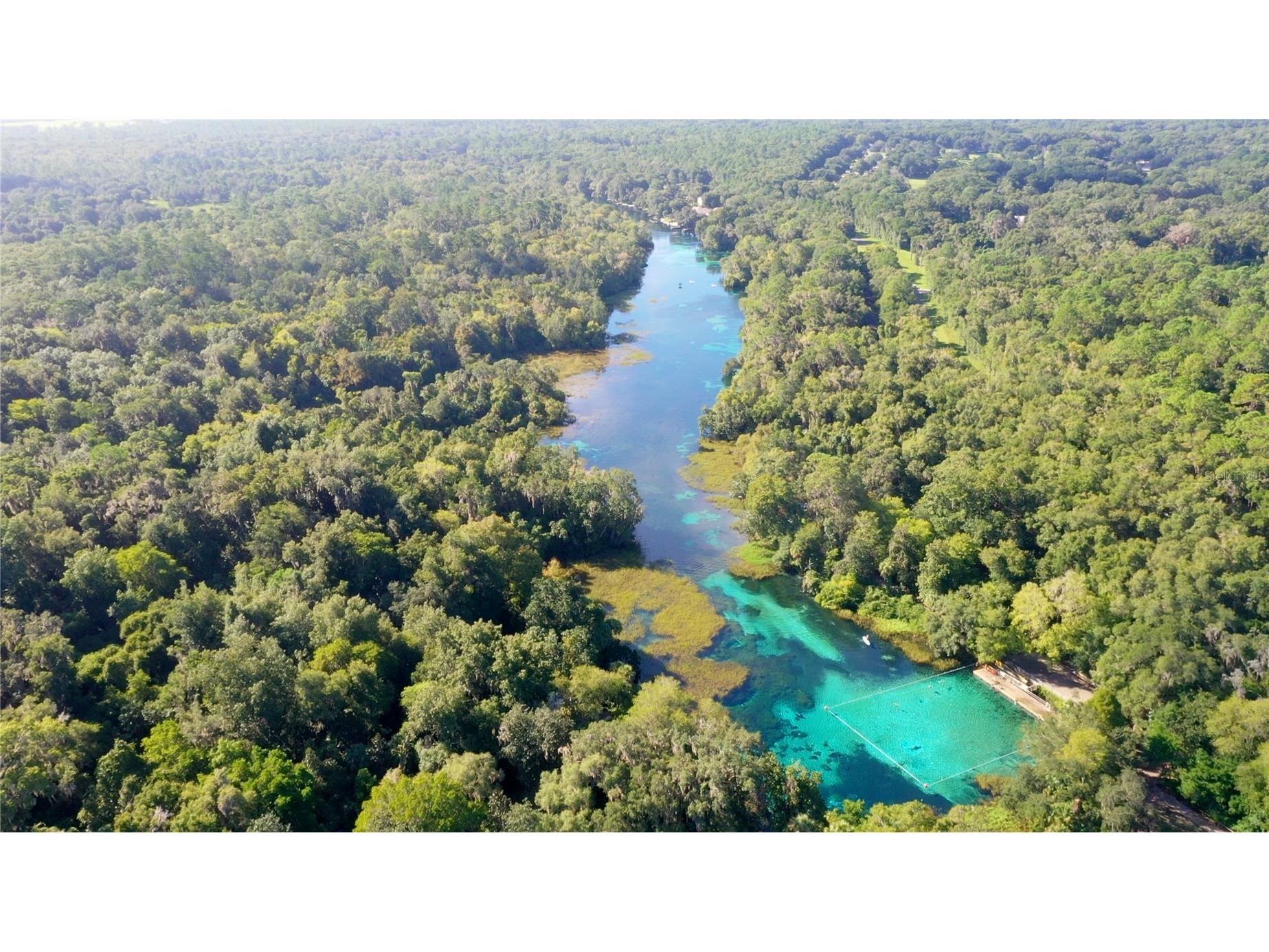  Dunnellon FL 34431 OM722584 image7