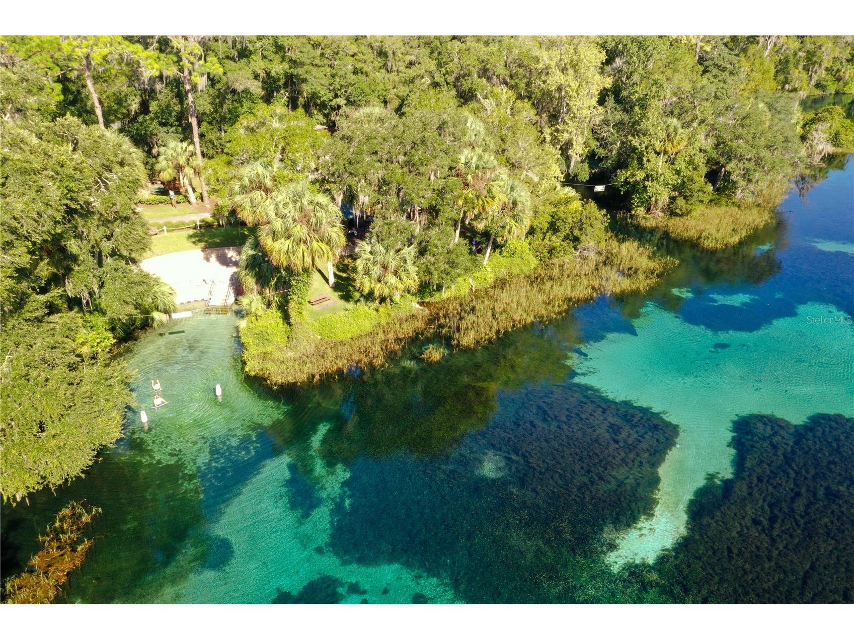  Dunnellon FL 34431 OM722584 image8