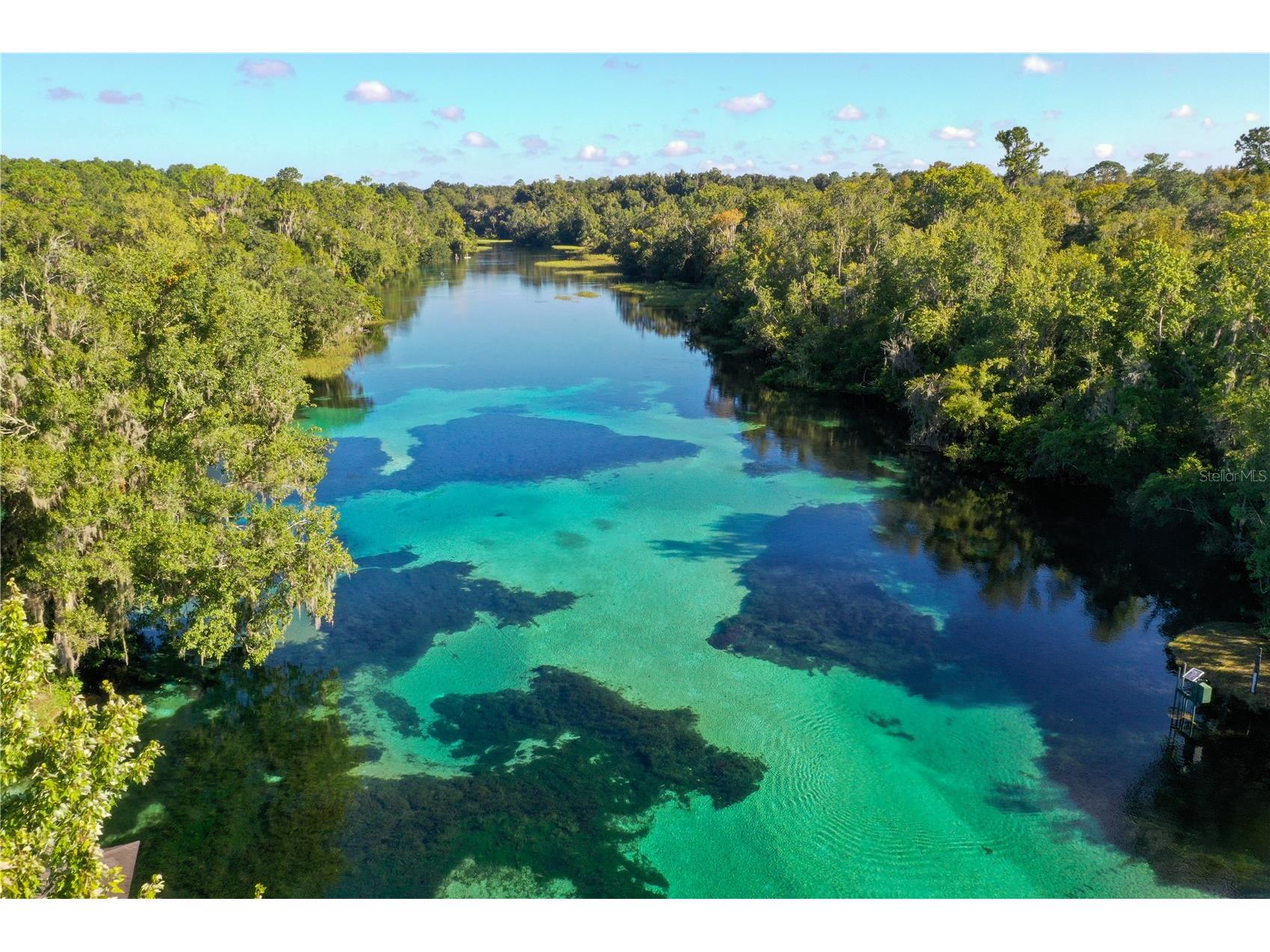 Dunnellon FL 34431 OM722584 image9