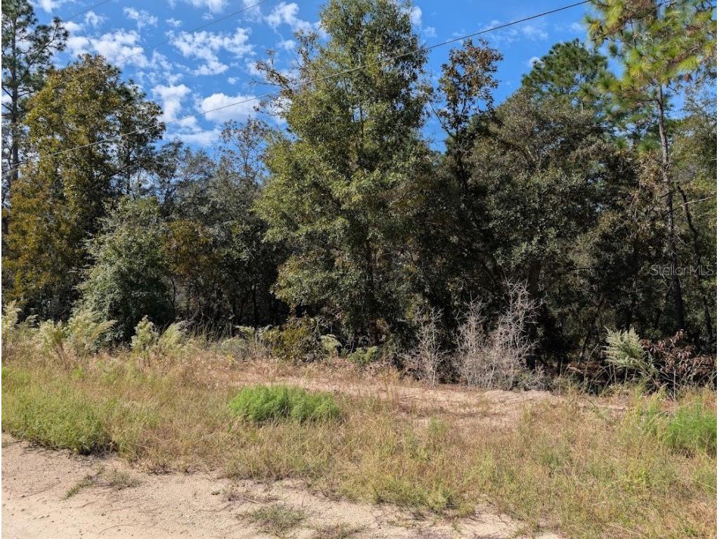  Dunnellon FL 34432 OM711744 image10