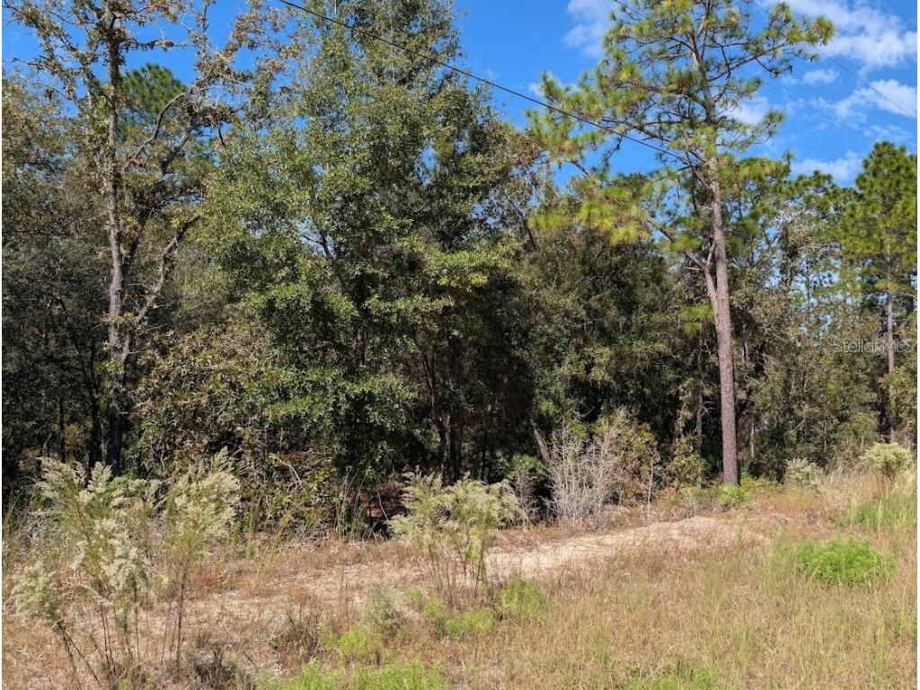  Dunnellon FL 34432 OM711744 image11