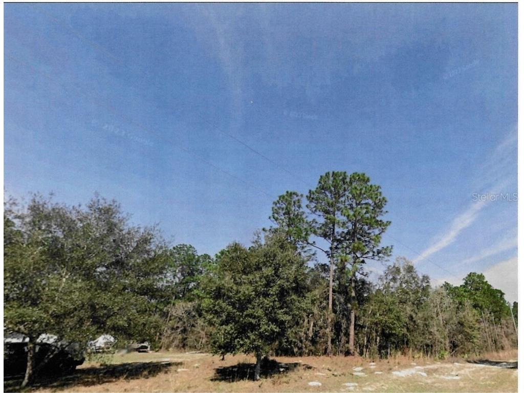  Dunnellon FL 34432 OM711744 image2