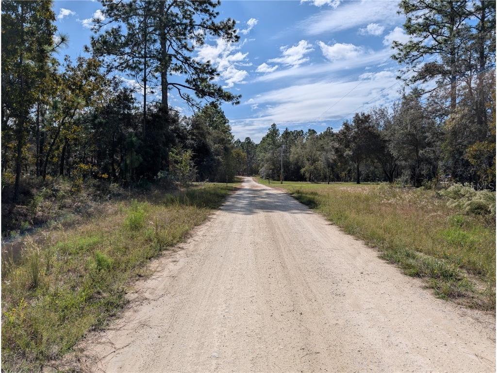  Dunnellon FL 34432 OM711744 image6