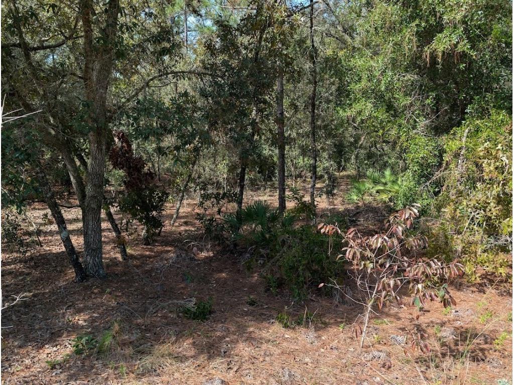  Dunnellon FL 34432 OM711744 image8