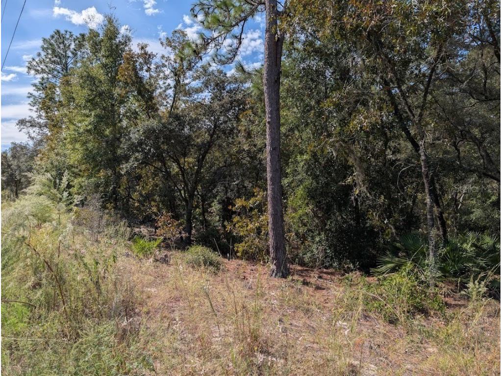  Dunnellon FL 34432 OM711744 image9