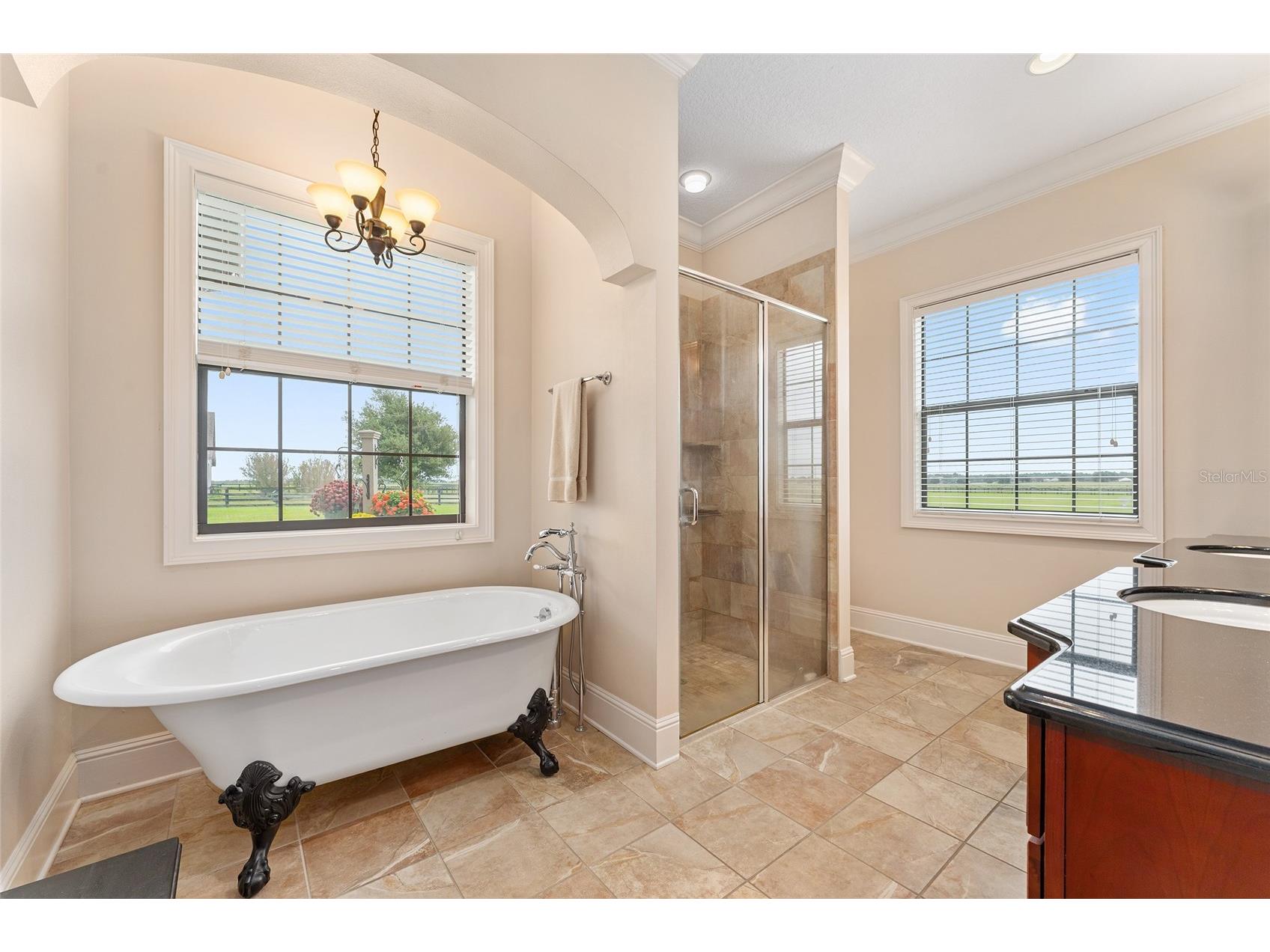  Dunnellon FL 34432 OM712119 image47