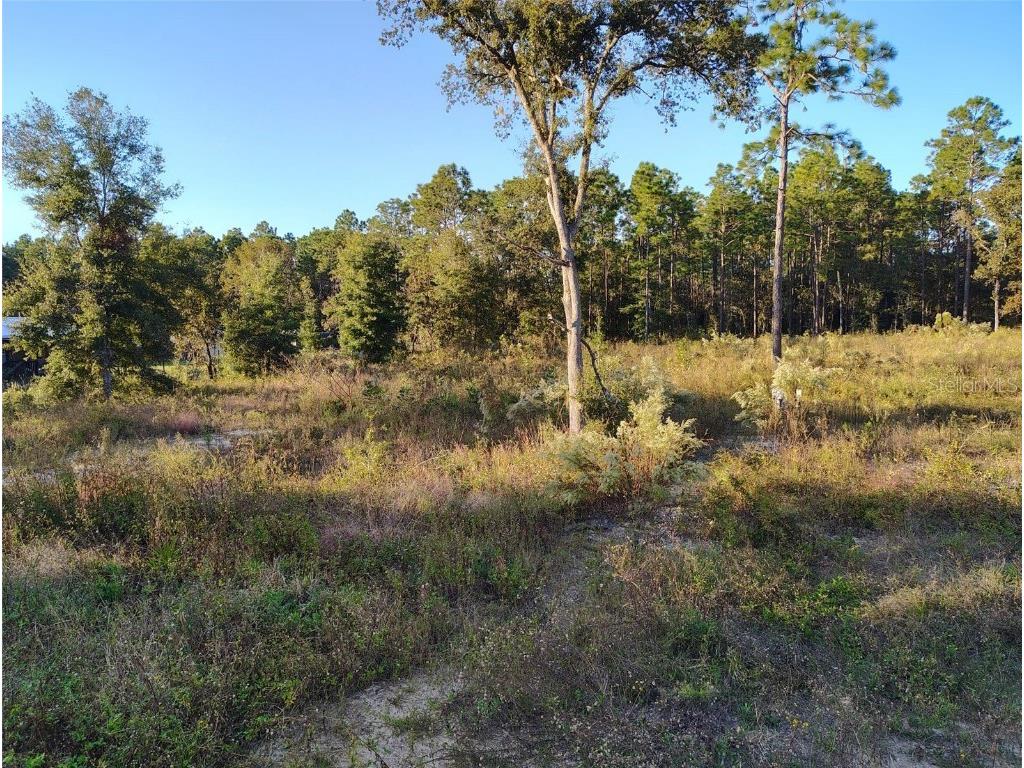  Dunnellon FL 34432 S5114463 image2