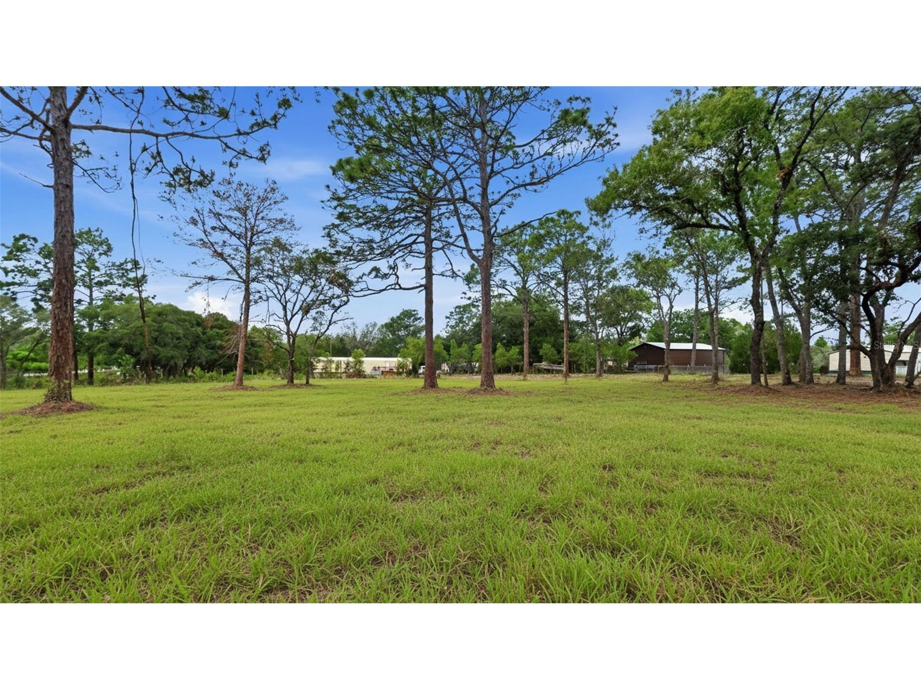  Dunnellon FL 34433 TB8511452 image81