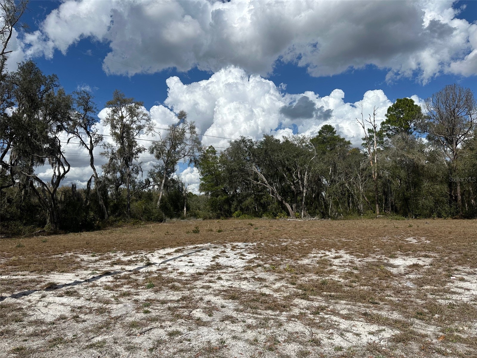  Dunnellon FL 34434 OM720237 image1