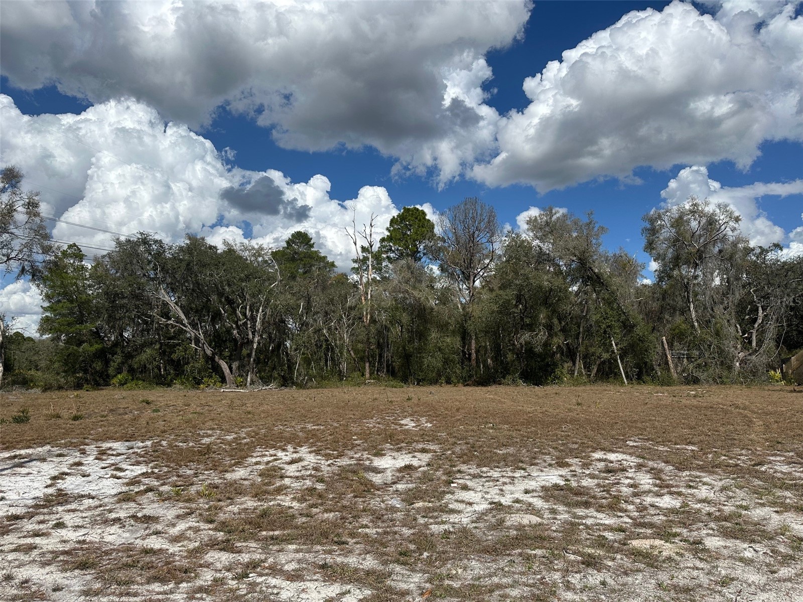  Dunnellon FL 34434 OM720237 image2