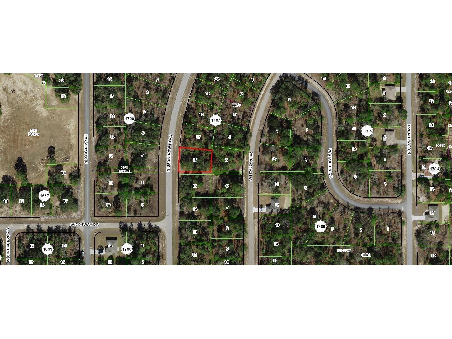  Dunnellon FL 34434 OM722298 image2